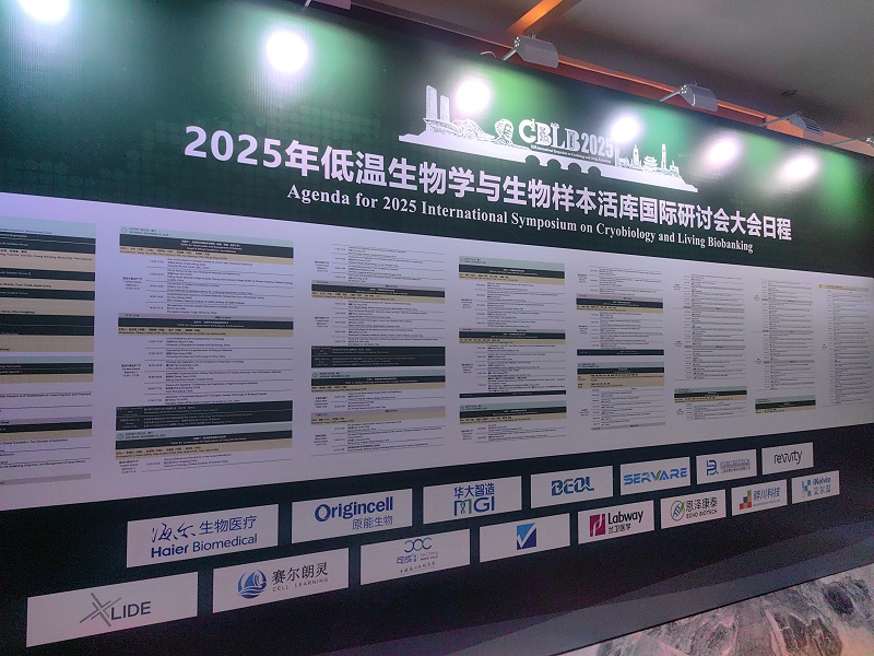 2fc1fc65d1c05788110fb32a29d8562